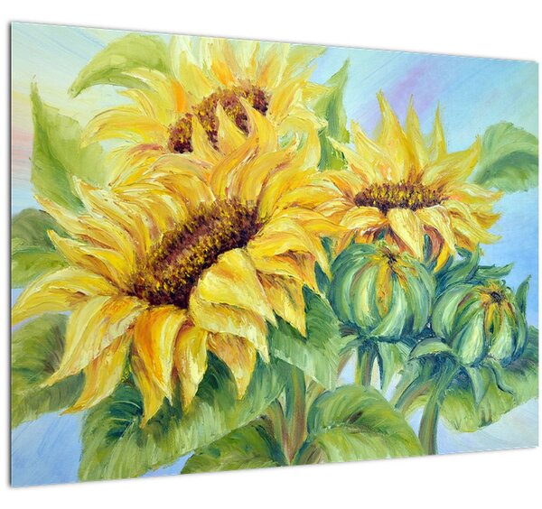 Obraz rozkvetlých slunečnic (70x50 cm)