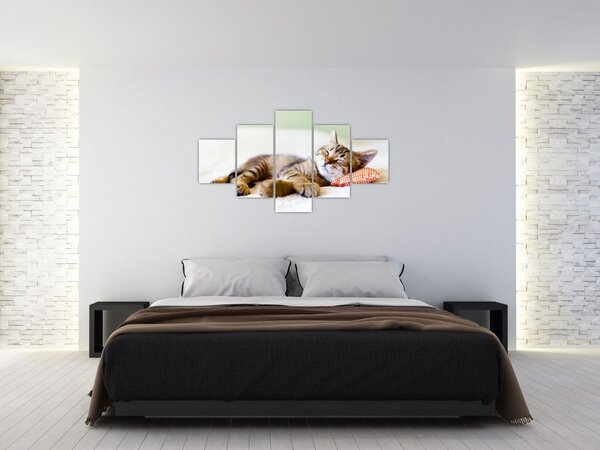 Obraz - Spící kotě (125x70 cm)
