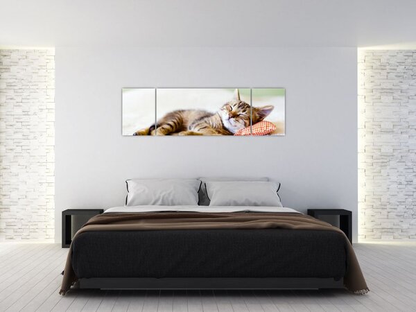 Obraz - Spící kotě (170x50 cm)