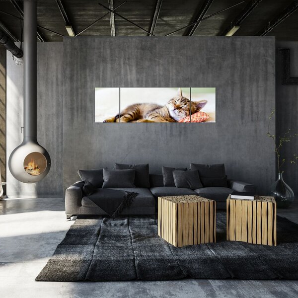 Obraz - Spící kotě (170x50 cm)
