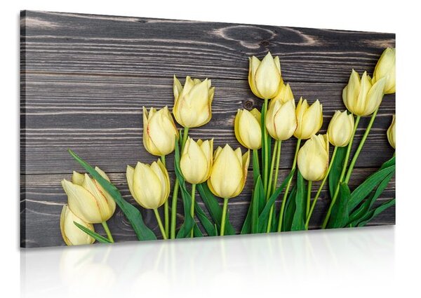 Obraz očarující žluté tulipány na dřevěném podkladě