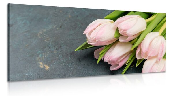 Obraz pastelově růžové tulipány