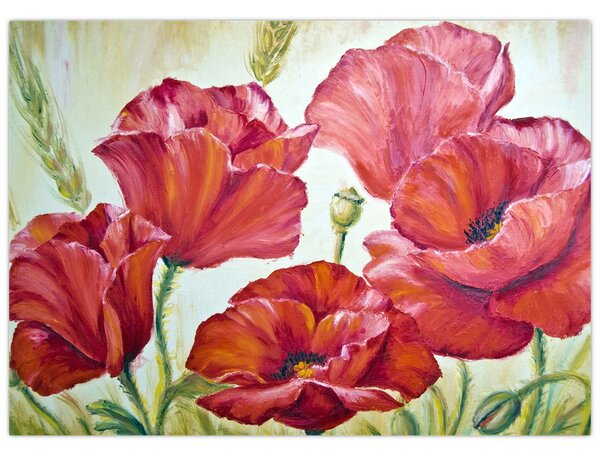 Obraz - Květy vlčích máků (70x50 cm)