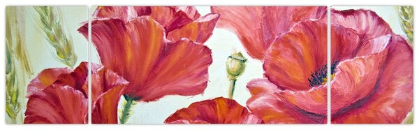 Obraz - Květy vlčích máků (170x50 cm)