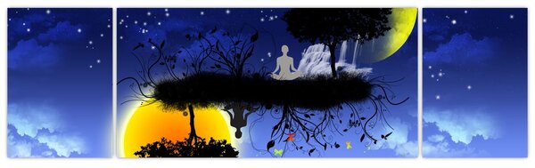 Obraz - Reflekce rovnováhy (170x50 cm)