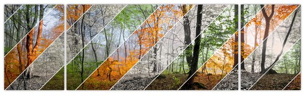 Obraz - Střídání ročních období (170x50 cm)