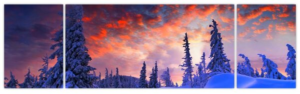 Obraz - Zimní soumrak (170x50 cm)