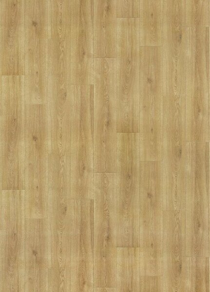Breno PVC EVOLUTION Maison 5 – světlé dřevo, šíře 300 cm
