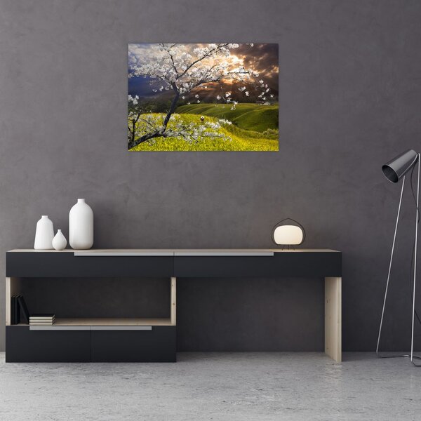 Obraz - Rozkvetlý strom v krajině (70x50 cm)