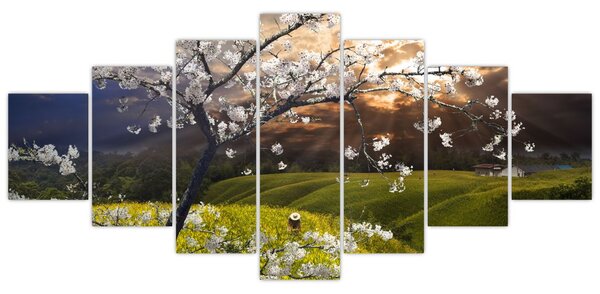 Obraz - Rozkvetlý strom v krajině (210x100 cm)