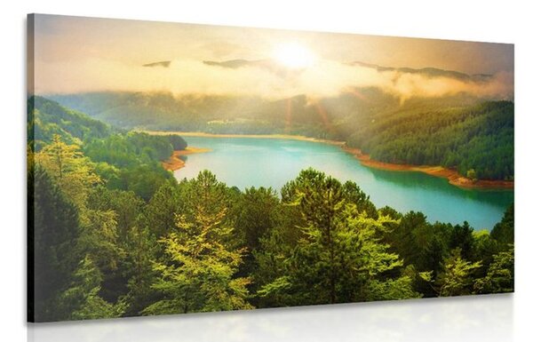Obraz řeka uprostřed zeleného lesa