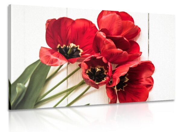 Obraz rozkvetlé červené tulipány