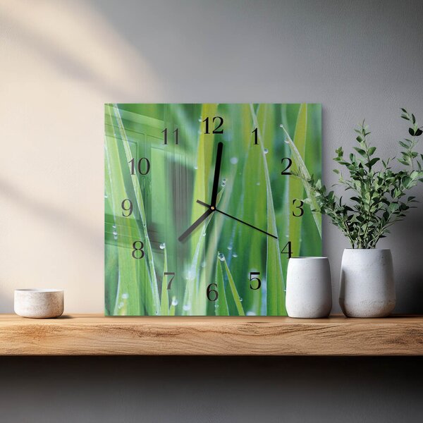 Skleněné hodiny na stěnu Tráva zskc-30x30-00177894