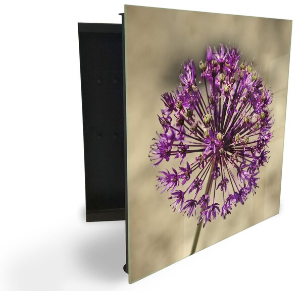 Glasdekor skříňka na klíče - fialový květ česneku - Pravé / Bílá