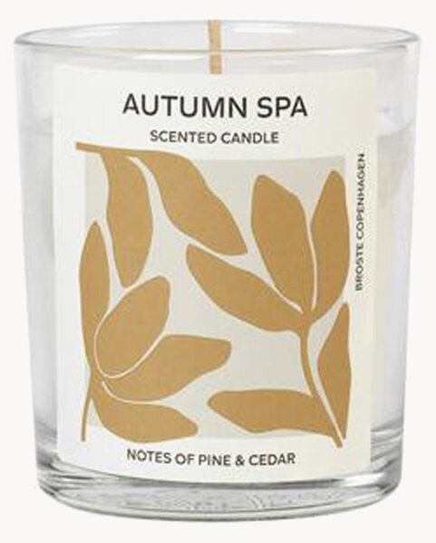 Vonná svíčka Autumn Spa (borovice a cedr)