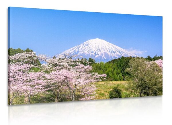Obraz sopka Fuji