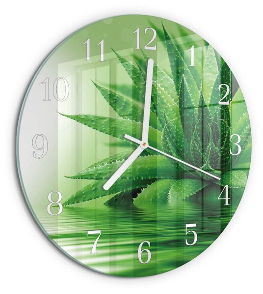 Skleněné hodiny na stěnu Aloe zsob-fi30-00083793