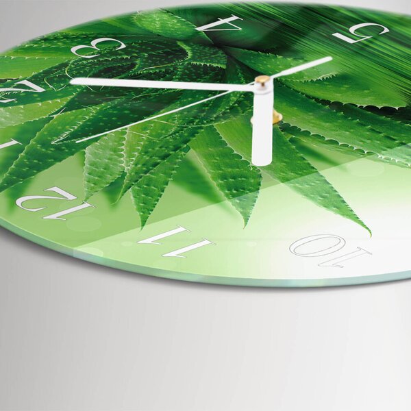 Skleněné hodiny na stěnu Aloe zsob-fi30-00083793