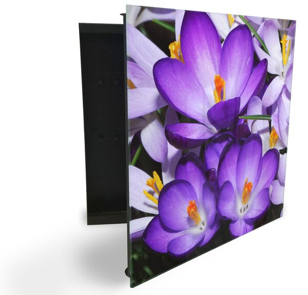 Glasdekor skříňka na klíče - květ fialový krokus - Levé / Bílá