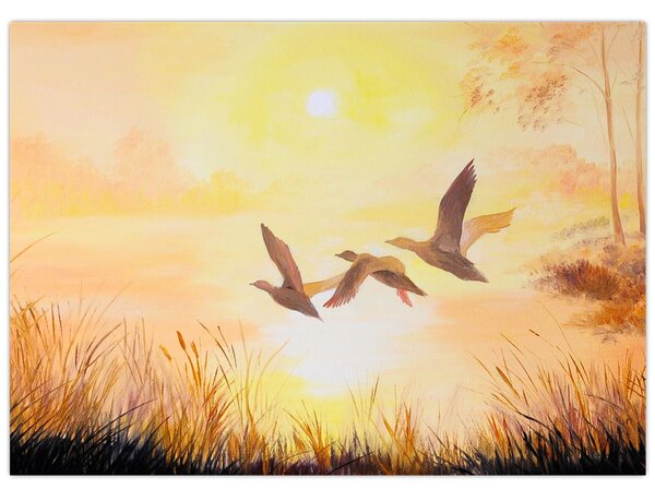 Obraz - Jeřábi při západu slunce (70x50 cm)