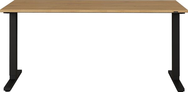 Pracovní stůl s deskou v dubovém dekoru 80x160 cm Agenda – Germania