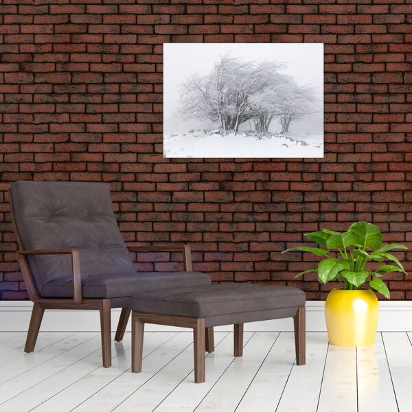 Obraz - Bílá zima (70x50 cm)