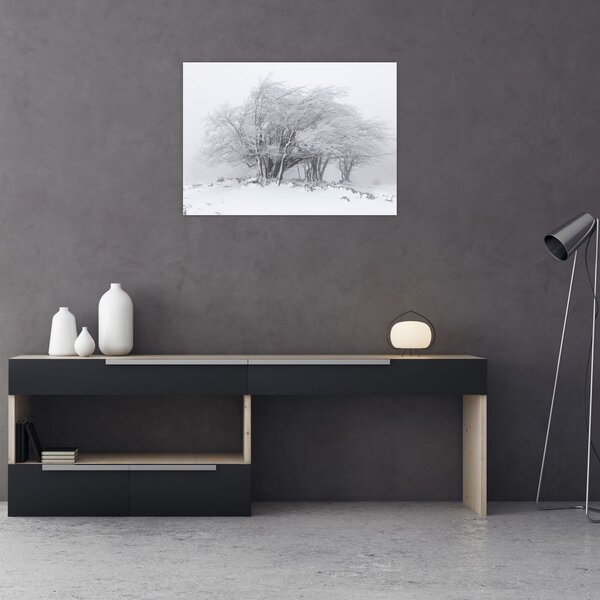 Obraz - Bílá zima (70x50 cm)