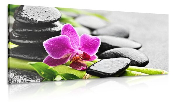 Obraz wellness zátiší s fialovou orchidejí
