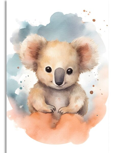 Obraz zasněná koala