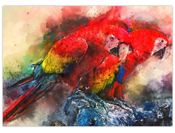 Obraz červených papoušků ara (70x50 cm)
