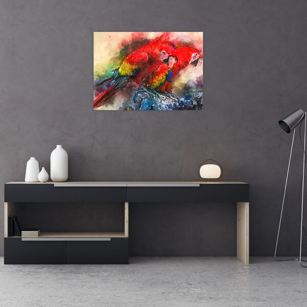 Obraz červených papoušků ara (70x50 cm)