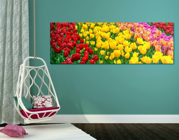 Obraz zahrada plná tulipánů