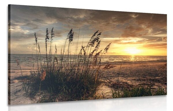 Obraz západ slunce na pláži Varianta: 90x60