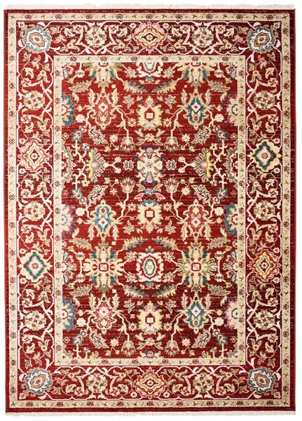 Makro Abra Kusový koberec RIVOLI EE58B Klasický červený Rozměr: 80x150 cm