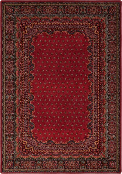 Kusový koberec vlněný Dywilan Polonia Baron Burgund 2 červený Rozměr: 135x200 cm