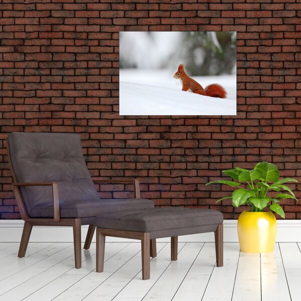 Obraz veverky (70x50 cm)
