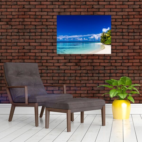 Obraz tropické pláže (70x50 cm)