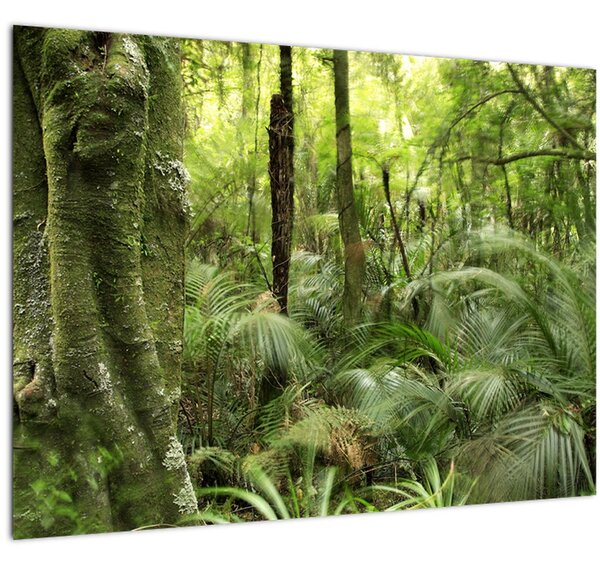 Obraz Tropický deštný prales (70x50 cm)