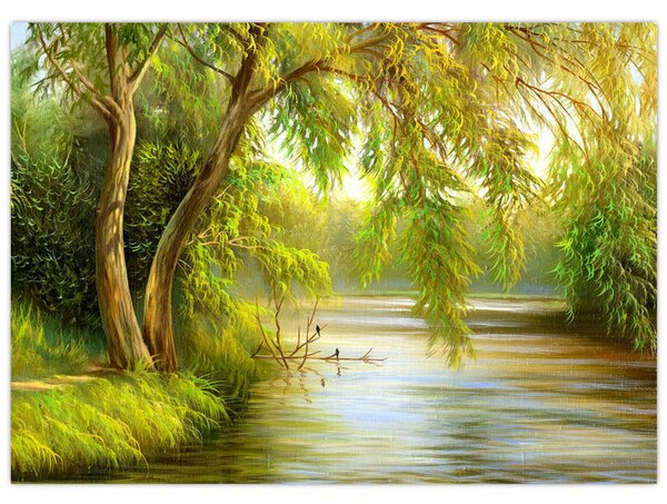 Obraz - Vrba u jezera, olejomalba (70x50 cm)