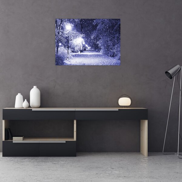 Obraz - Kouzelná zimní noc (70x50 cm)