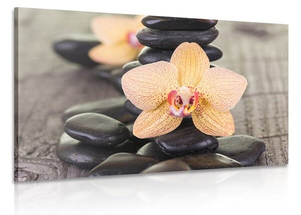 Obraz žlutá orchidej a Zen kameny