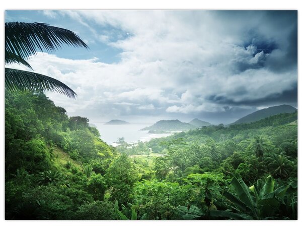 Obraz - Seychelská jungle (70x50 cm)