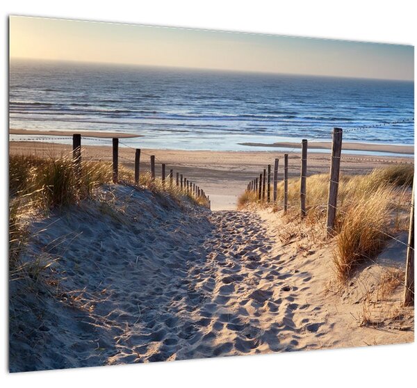 Skleněný obraz - Cesta k pláži Severního moře, Nizozemsko (70x50 cm)