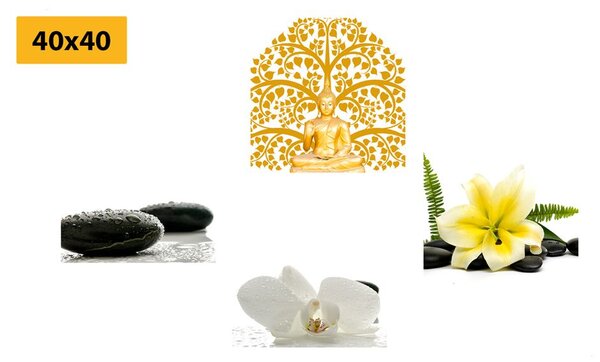 Set obrazů jemné zátiší Feng Shui