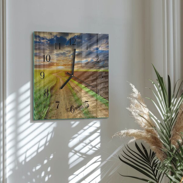 Skleněné hodiny na stěnu Pole zskc-30x30-00178630