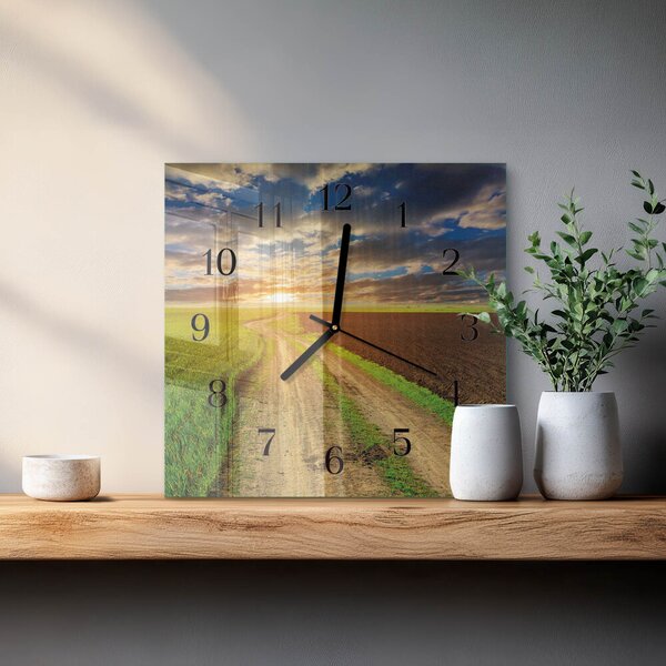 Skleněné hodiny na stěnu Pole zskc-30x30-00178630