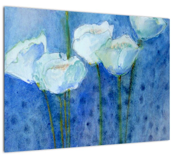 Obraz - Bílé tulipány (70x50 cm)