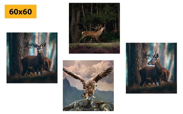 Set obrazů krása lesních zvířat