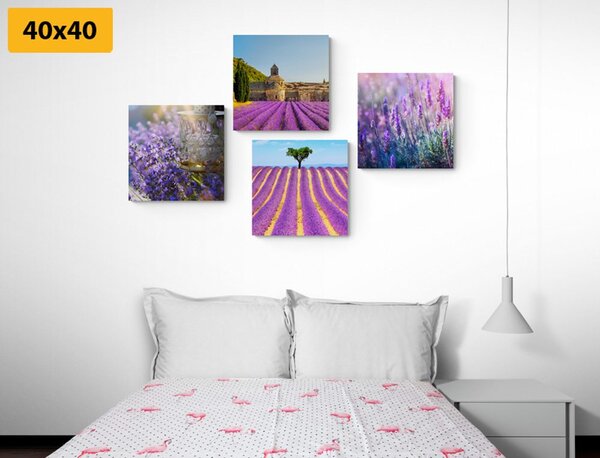 Set obrazů levandulové bohatství