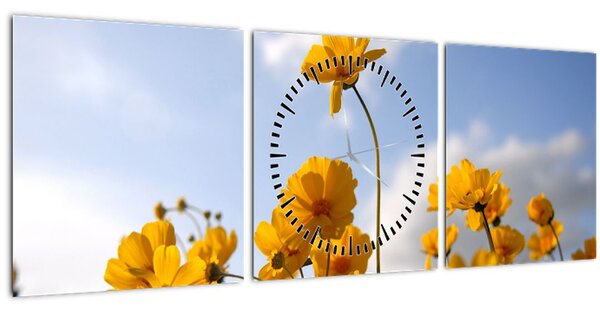 Obraz pole s jasně žlutými květy (s hodinami) (90x30 cm)